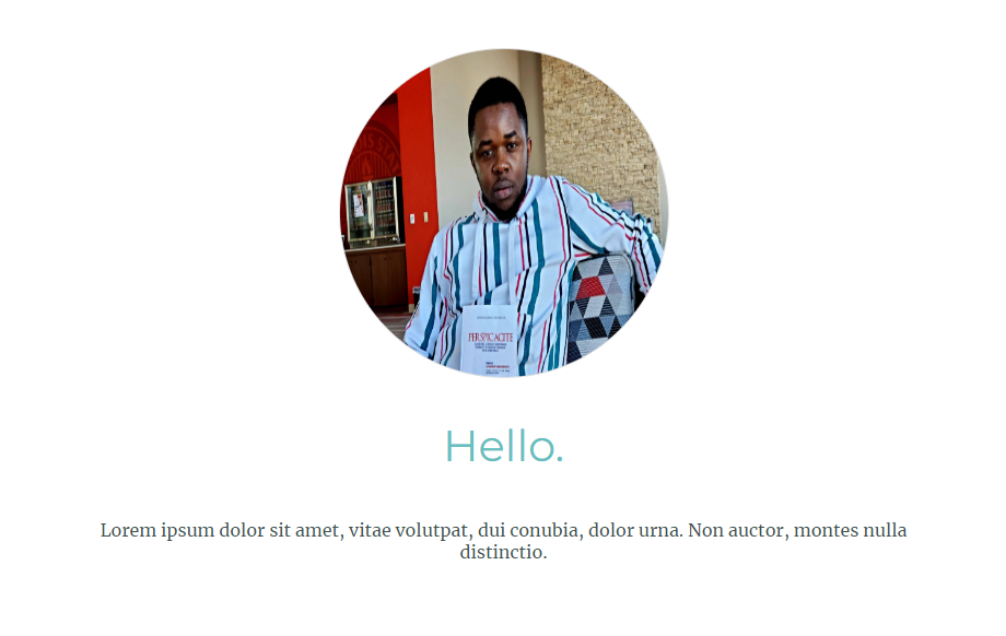 portfolio website