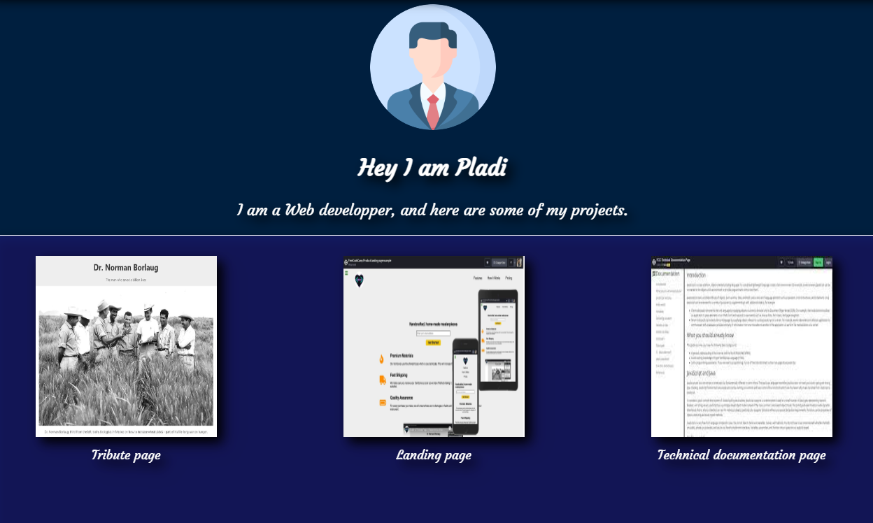 image of the project